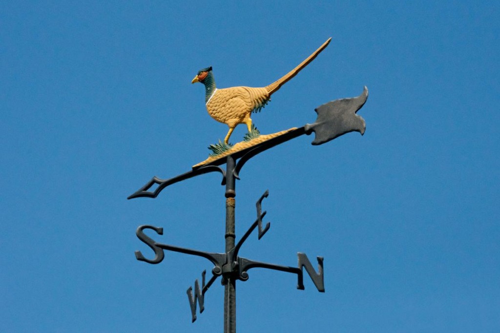 Pheasant Weathervane