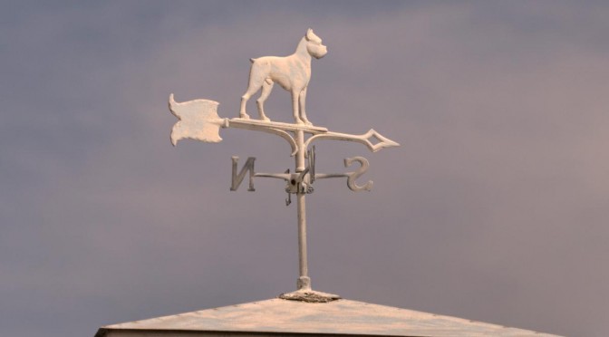 Bulldog Weathervane