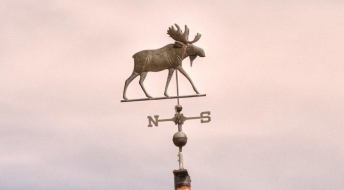 Moose Weathervane