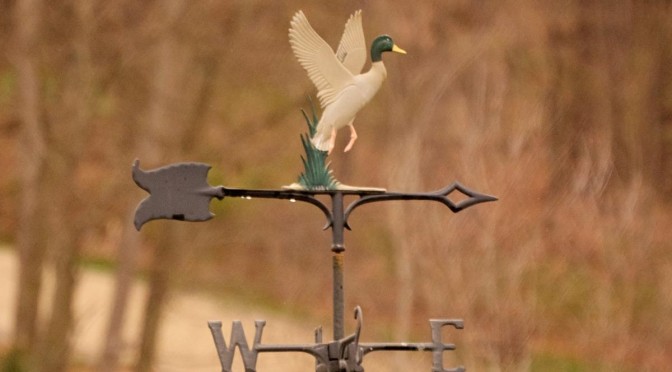 Duck Weathervane
