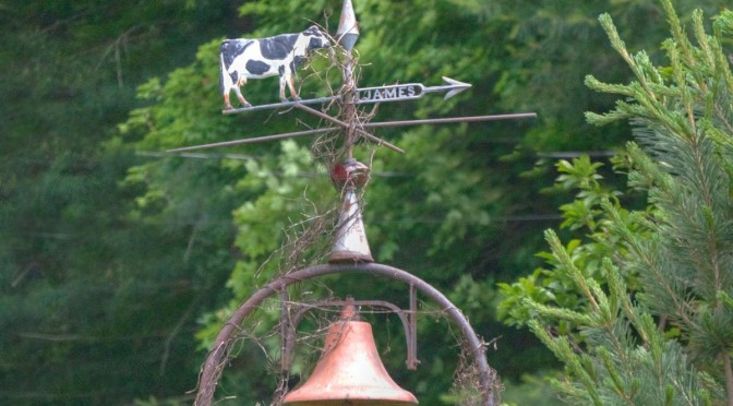 Cow Weathervane