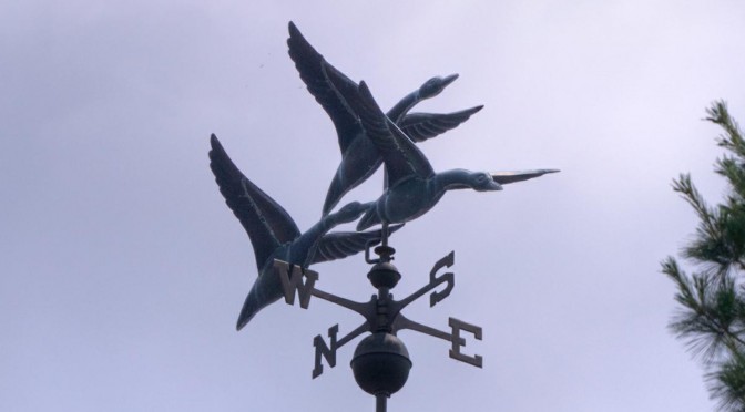 Geese Weathervane