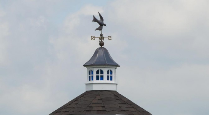 Dove Weathervane