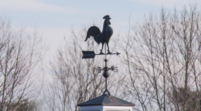 Rooster Weathervane