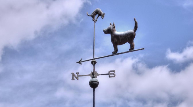 Dog and Cat Weathervane
