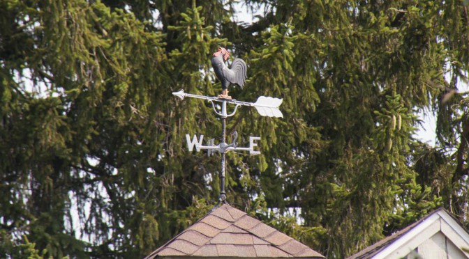 Rooster Weathervane