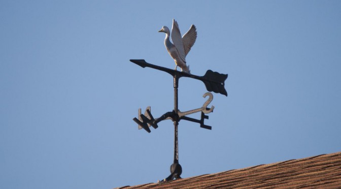 Duck Weathervane