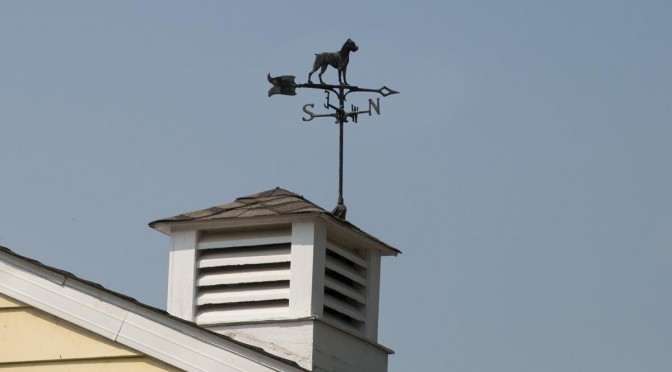 Dog Weathervane