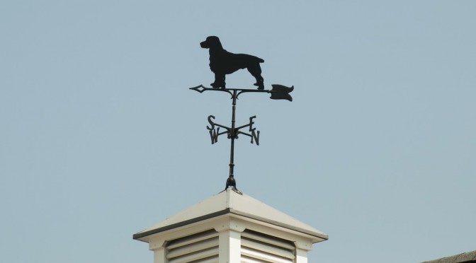 Dog Weathervane