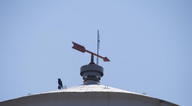 Water Tower Weathervane